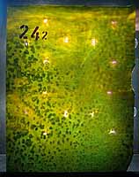 Tiffany glass sheet #02 in box #24