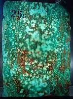 Tiffany glass sheet #05 in box #25